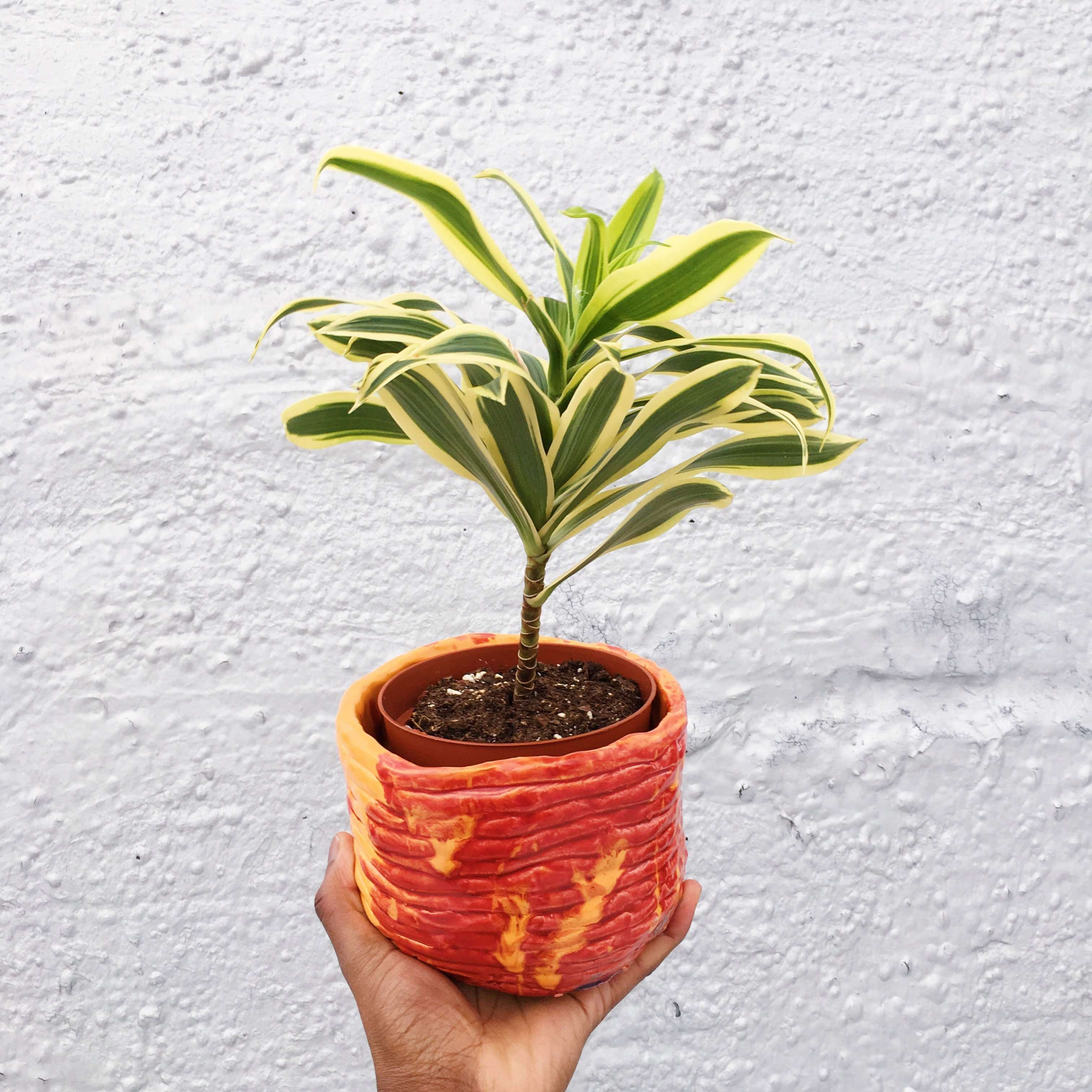 Fire ball flower pot enithingimake