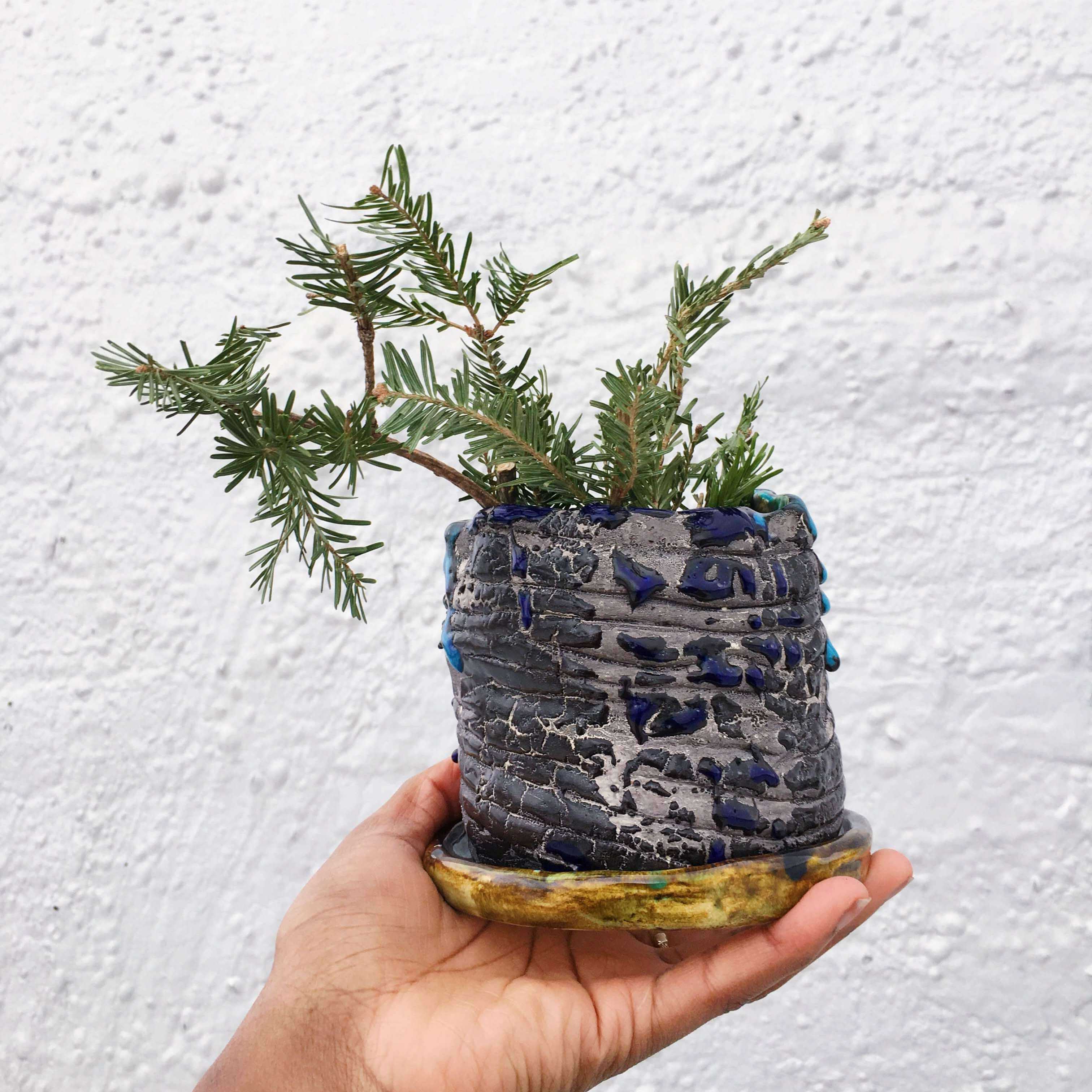 dragon egg flowerpot outside enithingimake