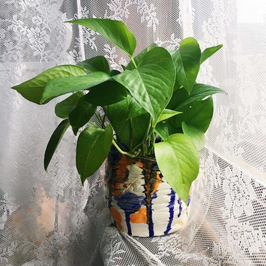 flower garden flower pot 2 enithingimake