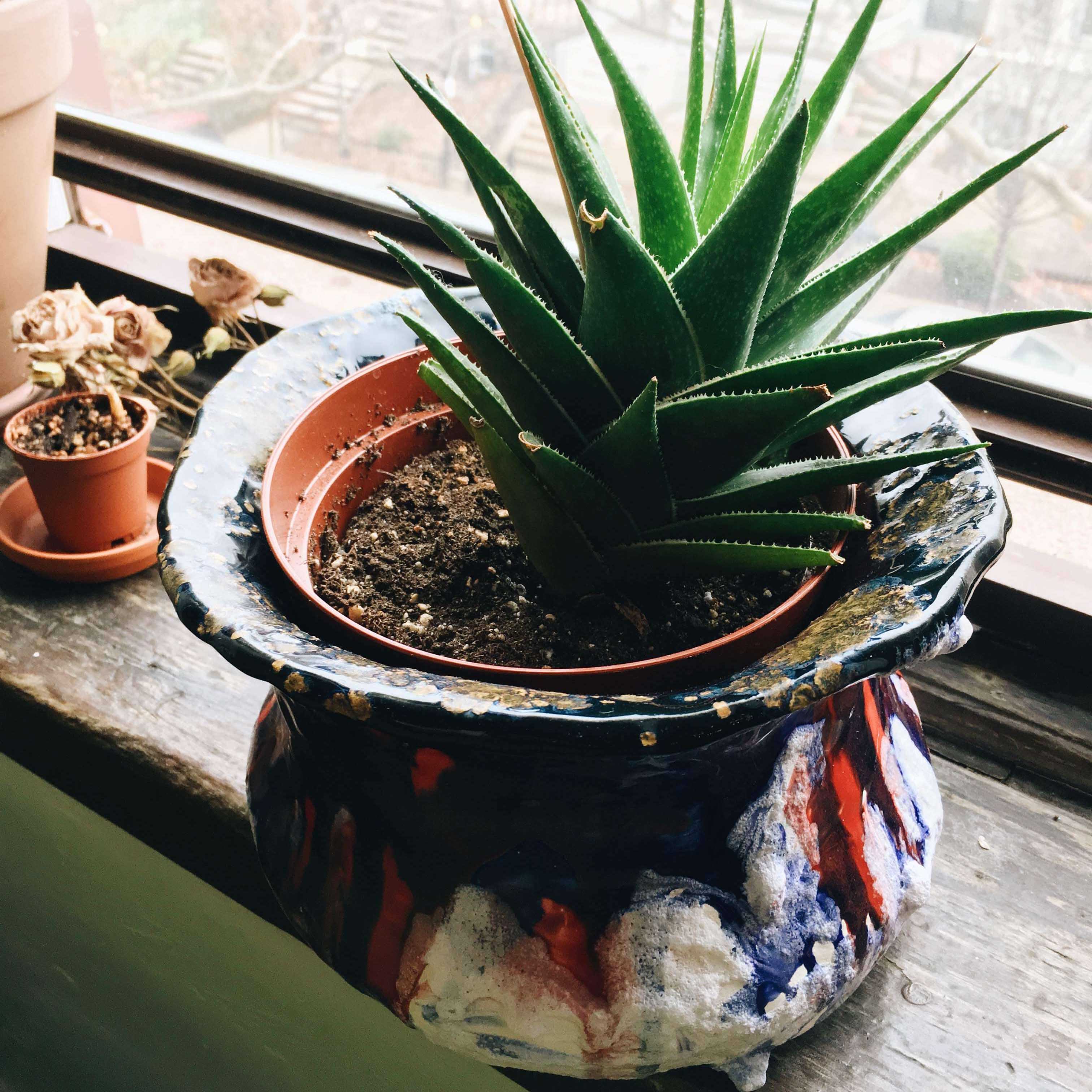 political vase up enithingimake