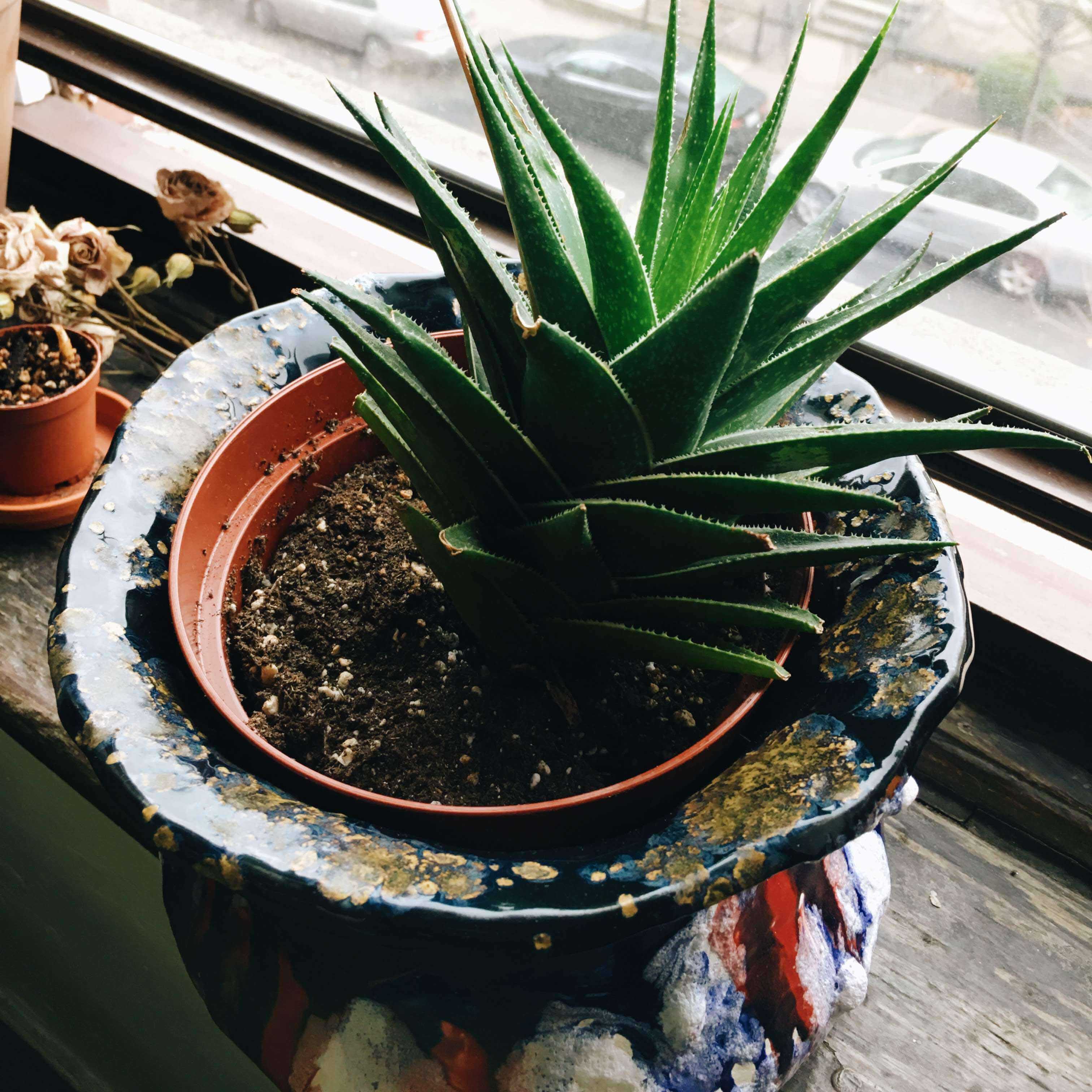 politicalvase enithingimake